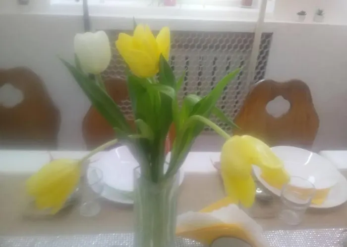 Θέρετρο Revita *