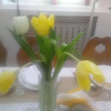 Ośrodek wypoczynkowy Revita *